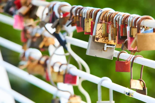 old rusty padlocks on iron fence, symbol of forever love 