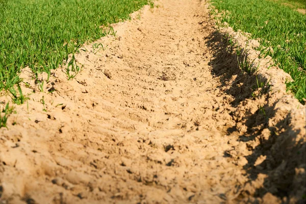 Champ Campagne Avec Pneus Tracteur Roulés Sur Sol Herbe Verte — Photo