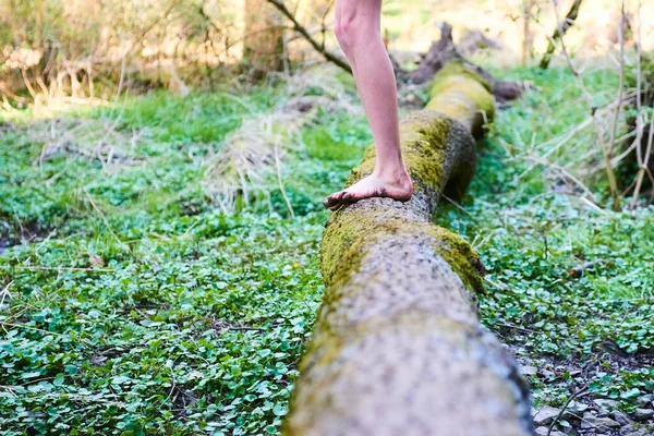 human walking barefoot on broken tree trunk in forest