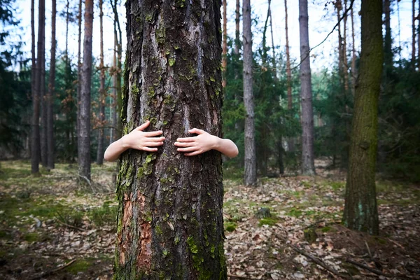 child hugging tree, hiding behind tree trunk kid