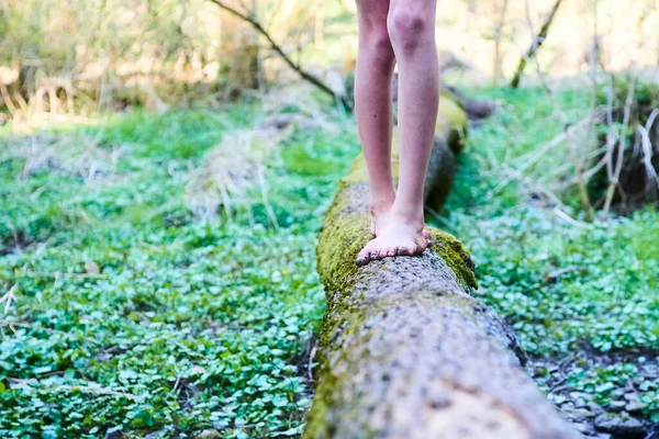 human walking barefoot on broken tree trunk in forest