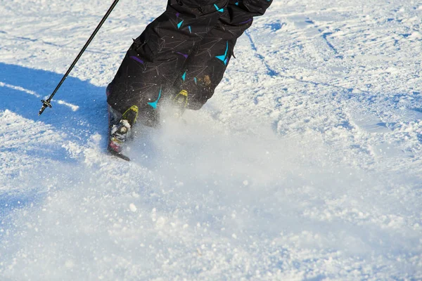 Ski Alpin Saison Hiver Terrain Enneigé — Photo