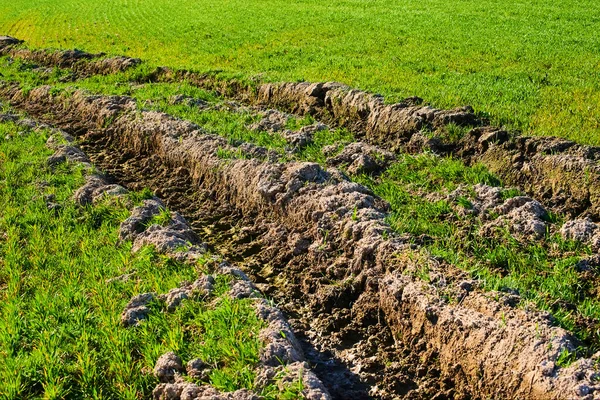 Landsbygd Fält Med Traktor Däck Rullas Marken Och Grönt Gräs — Stockfoto