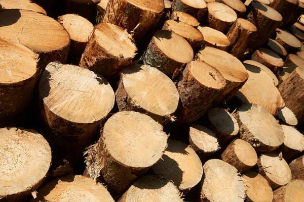Pile of Wooden Logs Stacked Together