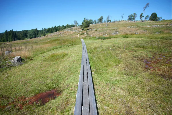 wooden planks, road in green meadow, blue sky and field on hills
