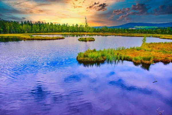 Beautiful Purple Sunset Lake Nature Flora — Stock Photo, Image