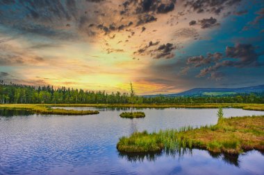 Gölün üzerinde güzel, mor bir gün batımı. Doğa bitki örtüsü