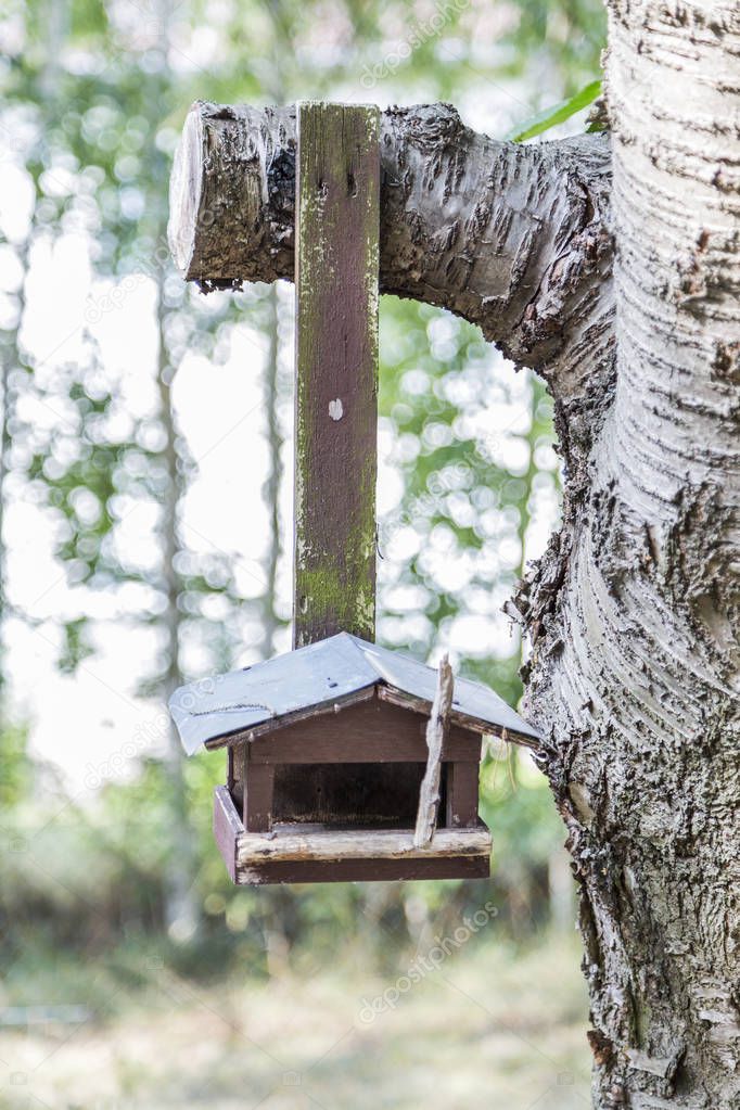 Old wooden birdhouse nailed to tree