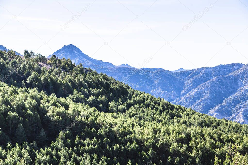 Sierra Nevada mountains with forest in region of Andalusia in Spain