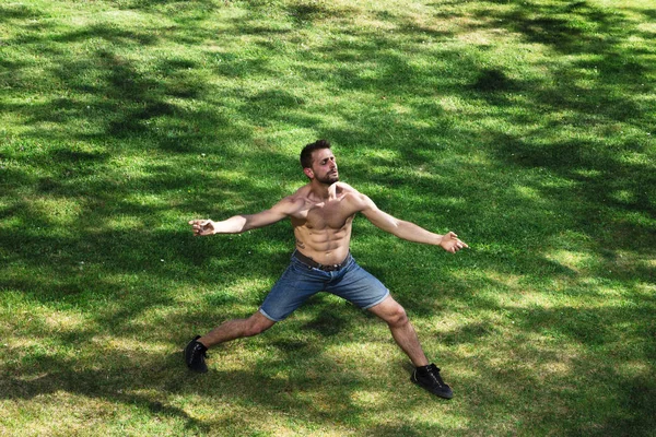 太陽のハイライトと草の上で踊るモデルの男 — ストック写真