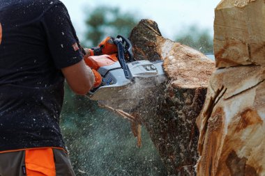 Khmelnitsky. Ukrayna. 22 Haziran 2019. Khmelnitsk içinde Stihl testere
