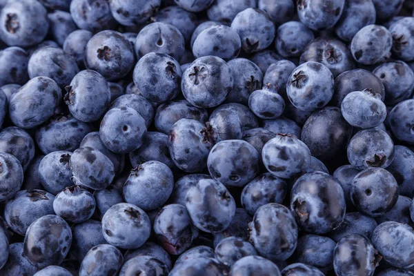 Fondo Arándanos Frescos Textura Arándano Cerrar Concepto Orgánico Antioxidante Del — Foto de Stock