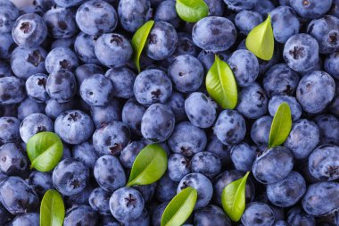 Taze yaban mersini arkaplanı. Yaban mersini dokusunu kapat yabanmersini antioksidan Organik Dengeli Kâse Sağlıklı Beslenme