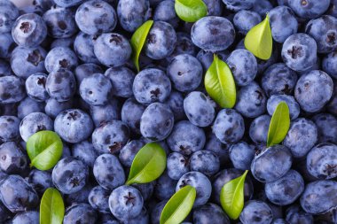 Taze yaban mersini arkaplanı. Yaban mersini dokusunu kapat yabanmersini antioksidan Organik Dengeli Kâse Sağlıklı Beslenme