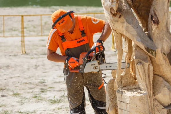 Kiev. Ukrayna. 22 Haziran 2019. Elektrikli testere. Stihl, Alman elektrikli testere ve diğer el teçhizatı üreticisi.