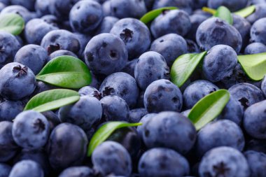 Taze yaban mersini arkaplanı. Yaban mersini dokusunu kapat yabanmersini antioksidan Organik Dengeli Kâse Sağlıklı Beslenme