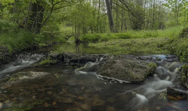 Весенний День Западной Чехии Река Блай Халстрова — стоковое фото
