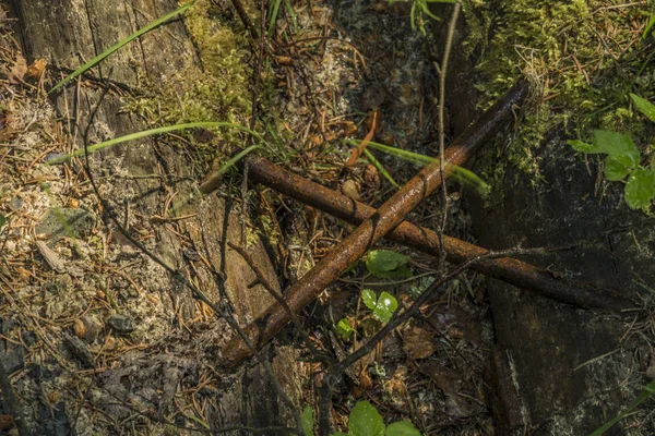 Kovový Kříž Poblíž Jaro Mokré Creek Jarní Ráno — Stock fotografie