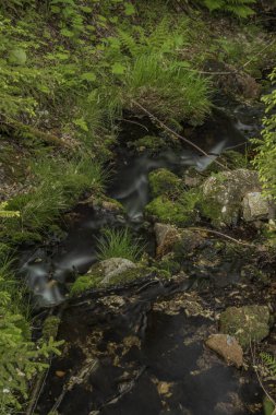 Klokotivy creek bahar güzel bir güneşli gün Jizerske dağlarında