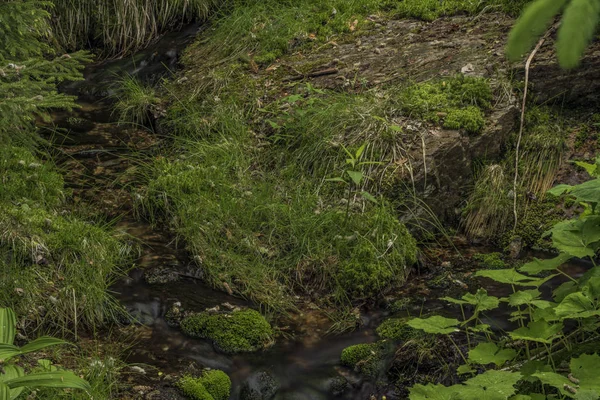 Klokotivy Bach Isergebirge Frühling Schöner Sonniger Tag — Stockfoto