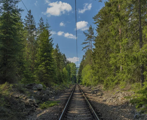 Järnvägen Nära Lipno Dammen Sydböhmen Solig Vårmorgon — Stockfoto