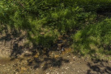 Roprachtice köyü yakınındaki küçük Creek yolu ile bahar güneşli bir günde ford