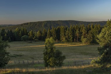 Slavkovsky les yaz güneşli güzel bir sabah Krizky area yakınındaki dağlarda