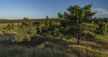 Slavkovsky les yaz güneşli güzel bir sabah Krizky area yakınındaki dağlarda