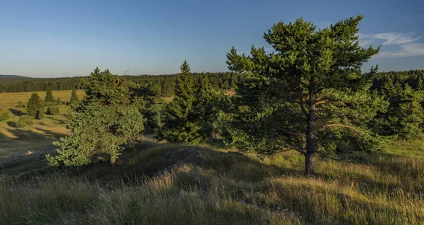 Slavkovsky les yaz güneşli güzel bir sabah Krizky area yakınındaki dağlarda