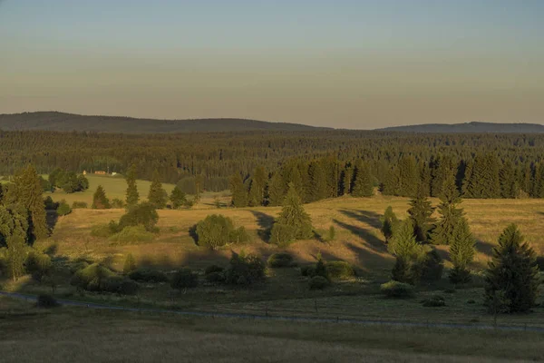 Slavkovsky les yaz güneşli güzel bir sabah Krizky area yakınındaki dağlarda