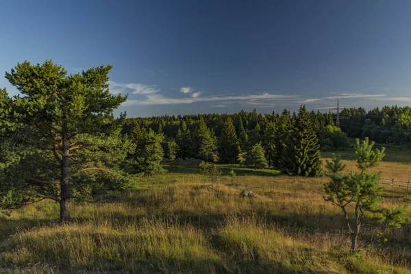 Slavkovsky Les Mountains Summer Sunny Nice Morning Krizky Area — Stock Photo, Image