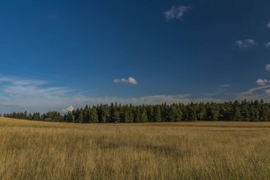Slavkovsky les dağlar yaz güneşli gün batımı akşam Krizky alanı yakınında