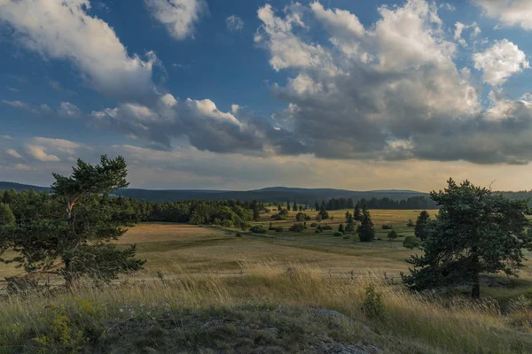 Slavkovsky les dağlar yaz güneşli gün batımı akşam Krizky alanı yakınında