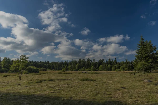 Slavkovsky Les Bergen Zonnige Zonsondergang Zomeravond Buurt Van Krizky Gebied — Stockfoto