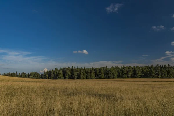 Slavkovsky les dağlar yaz güneşli gün batımı akşam Krizky alanı yakınında