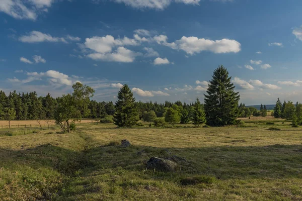 Slavkovsky les dağlar yaz güneşli gün batımı akşam Krizky alanı yakınında