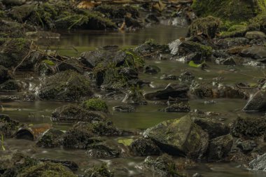 Yaz günü Marianske Lazne kaplıca kenti yakınındaki Usovicky dereye