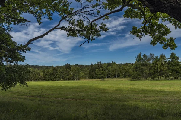 Slavkovsky les Milli Parkı içinde Novoveska baharda yaz sabahı yakın alanı