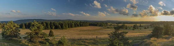 Slavkovský Les Hory Letních Slunečných Slunce Večer Nedaleko Krizky Oblast — Stock fotografie