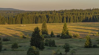 Slavkovsky les dağlar yaz güneşli gün batımı akşam Krizky alanı yakınında