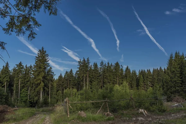 Céu Slavkovsky Les Parque Nacional Com Céu Azul — Fotografia de Stock