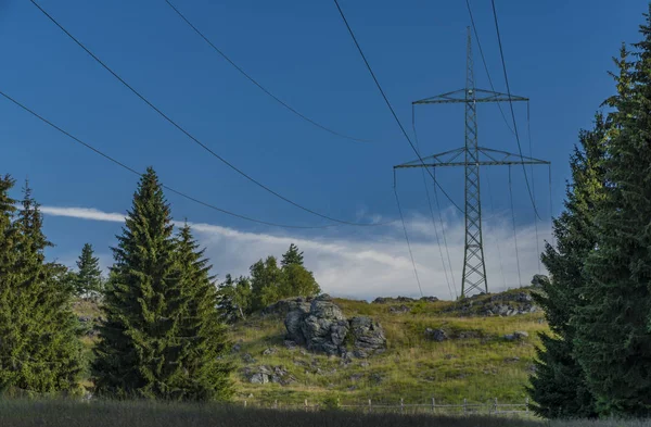 Poteau Postal Slavkovsky Parc National Dans Matinée Ensoleillée Été — Photo