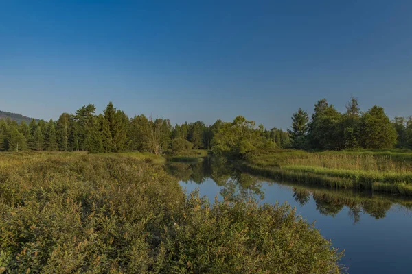 Tepla Moldau Sommermorgen Nationalpark Böhmerwald — Stockfoto