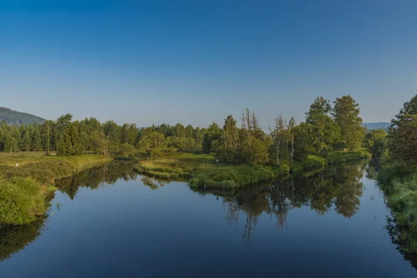Tepla Vltava Nehri Milli Parkı Sumava yaz sabahın