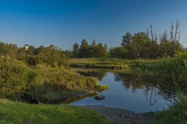 Tepla Vltava Nehri Milli Parkı Sumava yaz sabahın