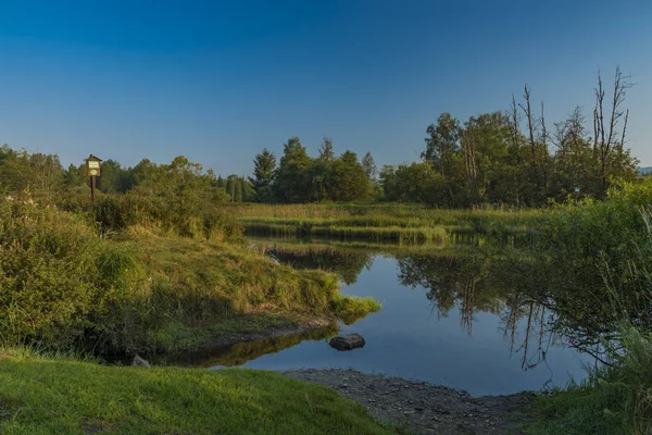 Tepla Moldau Sommermorgen Nationalpark Böhmerwald — Stockfoto