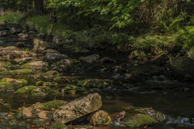 Yaz sıcak güneşli gün Batı Bohemia Neuhausen dağlarında Prebuz köyü yakınındaki nehirde Rolava