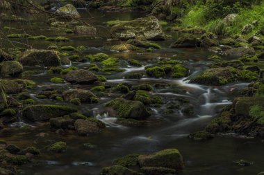 Yaz sıcak güneşli gün Batı Bohemia Neuhausen dağlarında Prebuz köyü yakınındaki nehirde Rolava