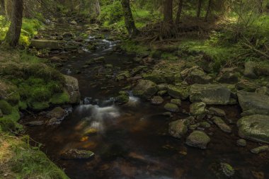 Yaz sıcak güneşli gün Batı Bohemia Neuhausen dağlarında Prebuz köyü yakınındaki nehirde Rolava