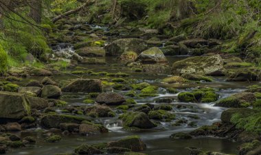 Yaz sıcak güneşli gün Neuhausen dağlarda Prebuz köyü yakınındaki nehirde Rolava